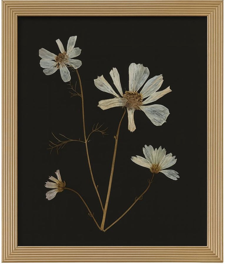 Signature Pressed Flower Frames