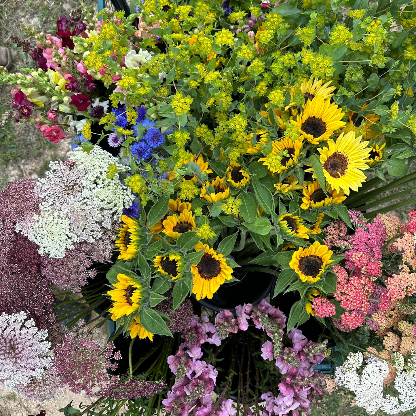 Flower Bucket (Farmer's choice)