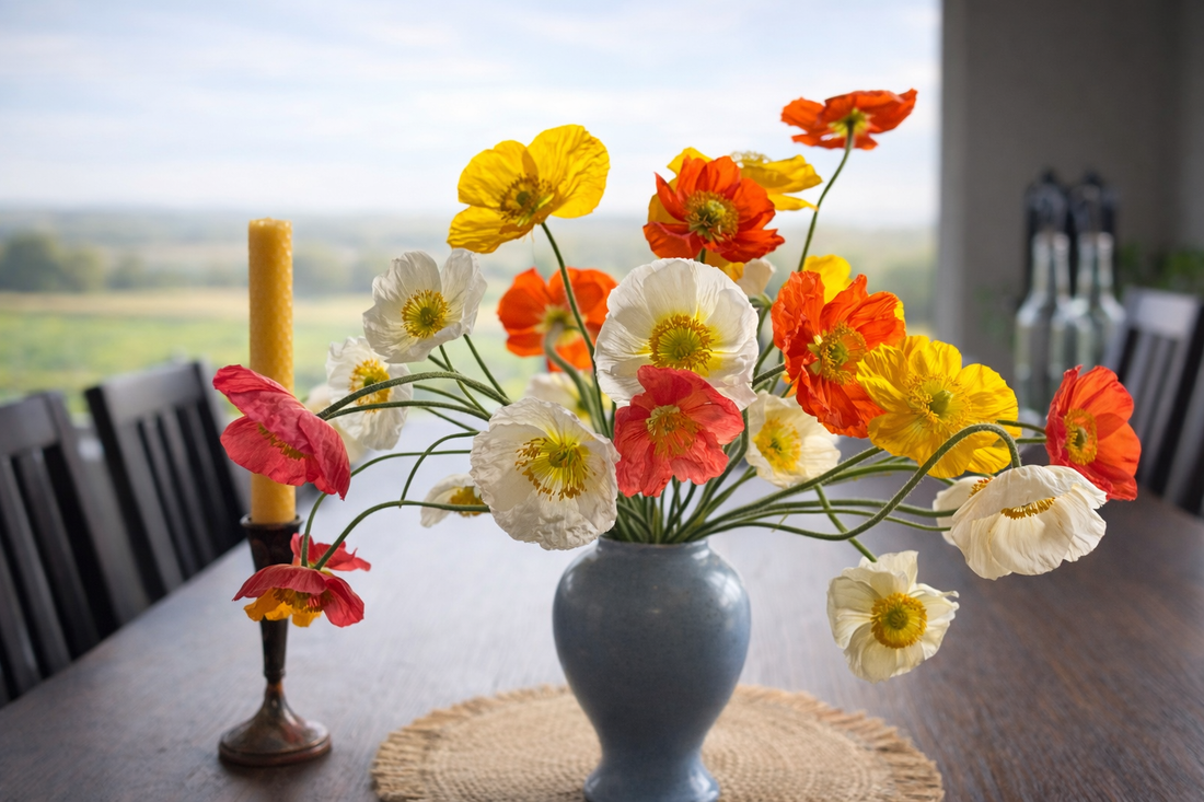 Farm-grown Poppies from Bella Vista Flower Farm in Brenham, Texas