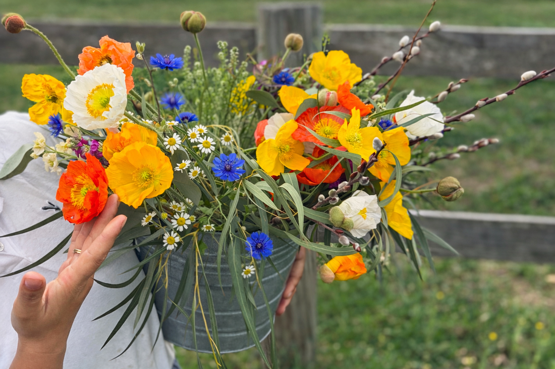 Farm-grown flower buckets with seasonal blooms harvested on Texas flower farm