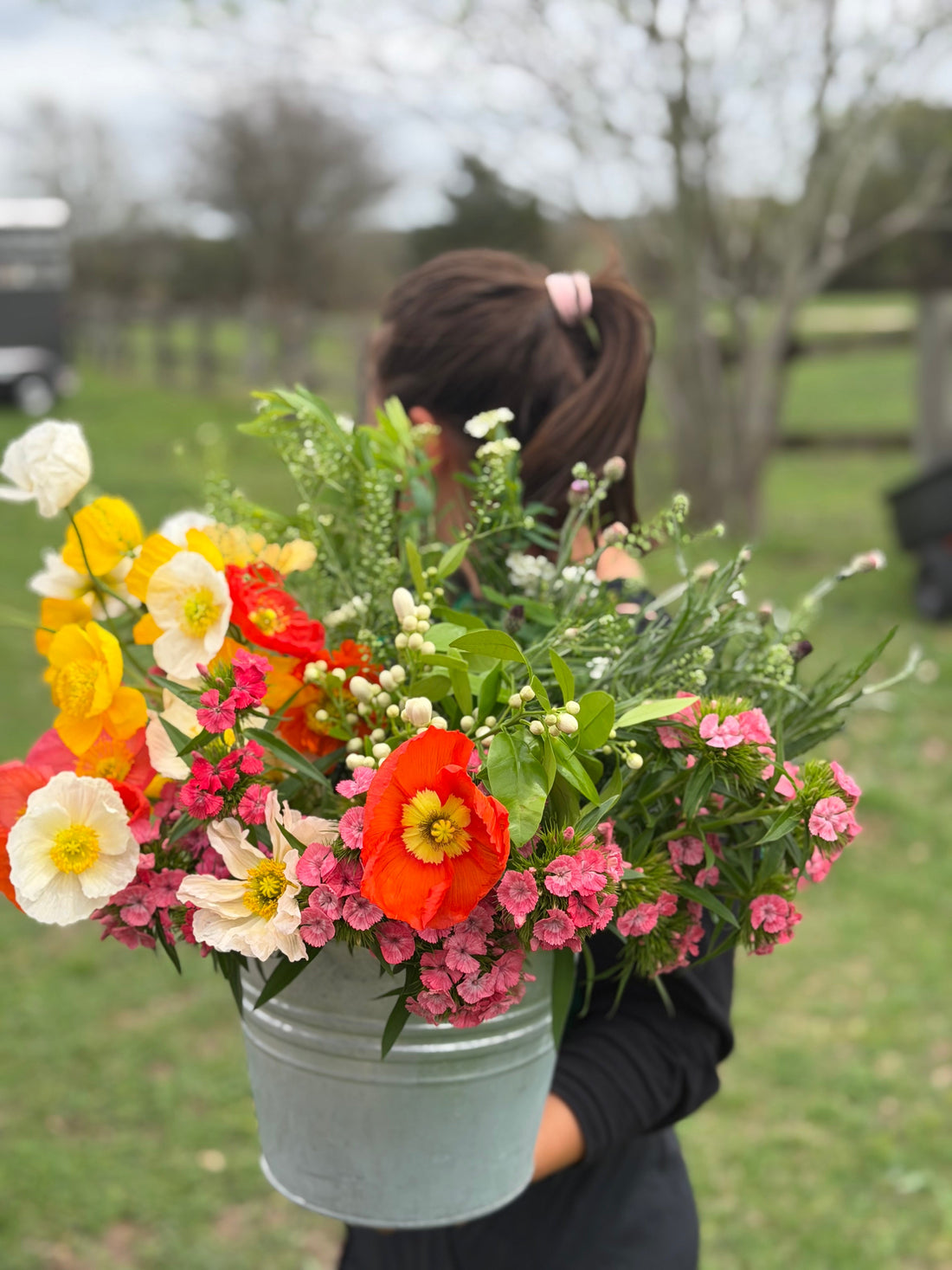Fresh seasonal spring flowers growing at Bella Vista Farm in Brenham, Texas, including poppies, ranunculus, and garden-style blooms harvested for Hosting Flowers, gatherings, and spring entertaining