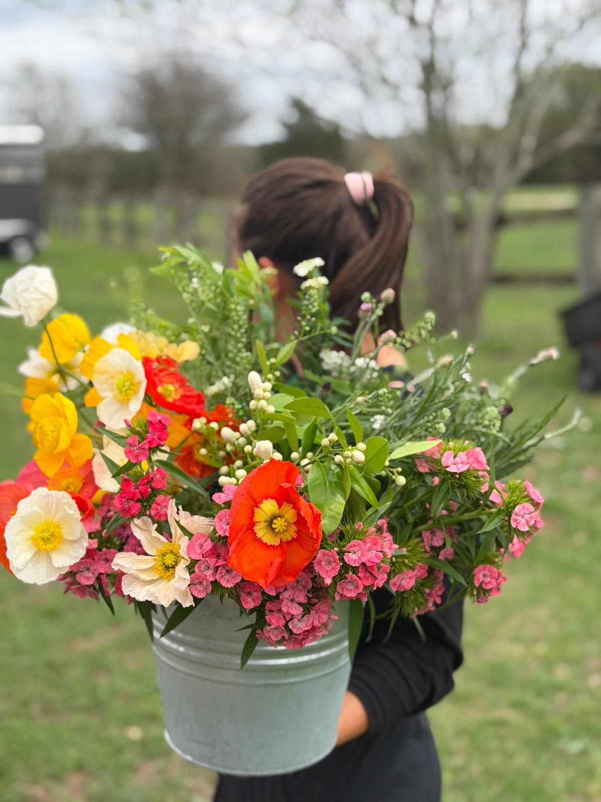 Spring Flowers on Texas Flower Farms | Seasonal Garden-Style Flowers ...