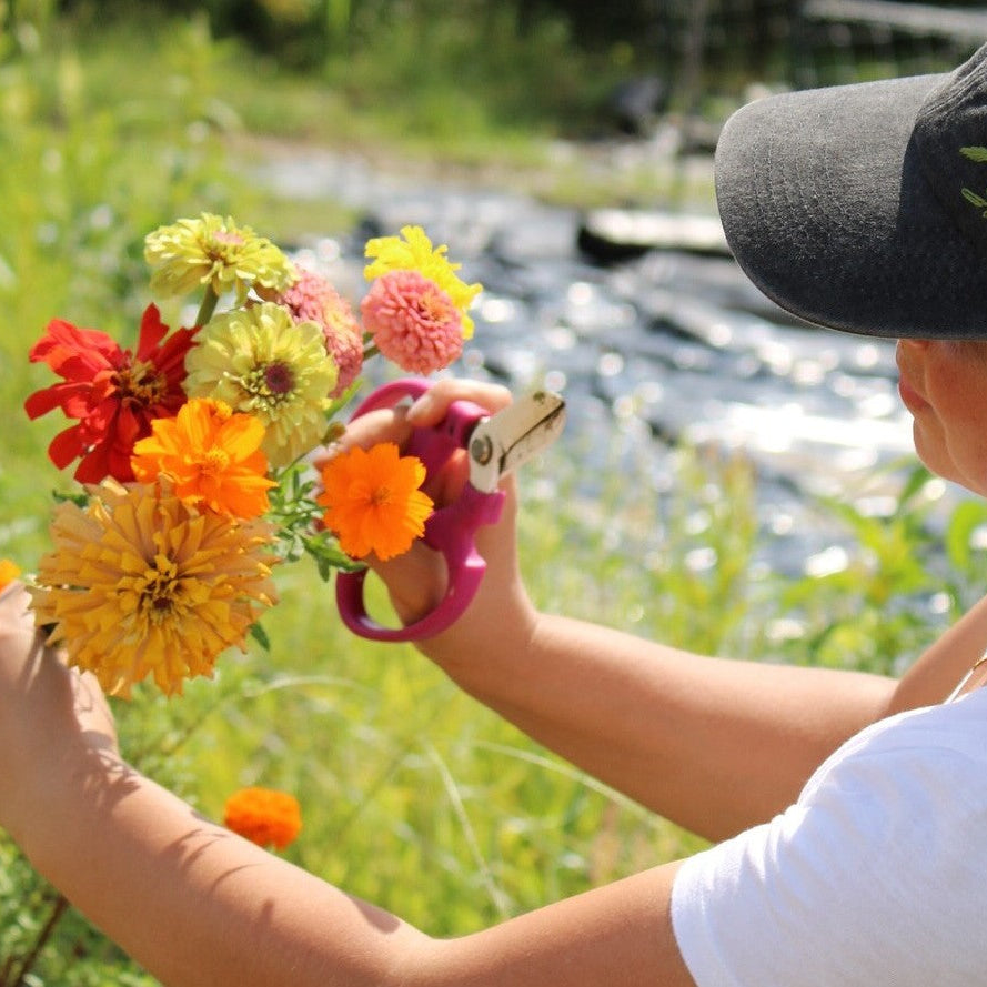 Fresh, farm-grown flowers harvested at Bella Vista Flower Farm in Brenham, Texas