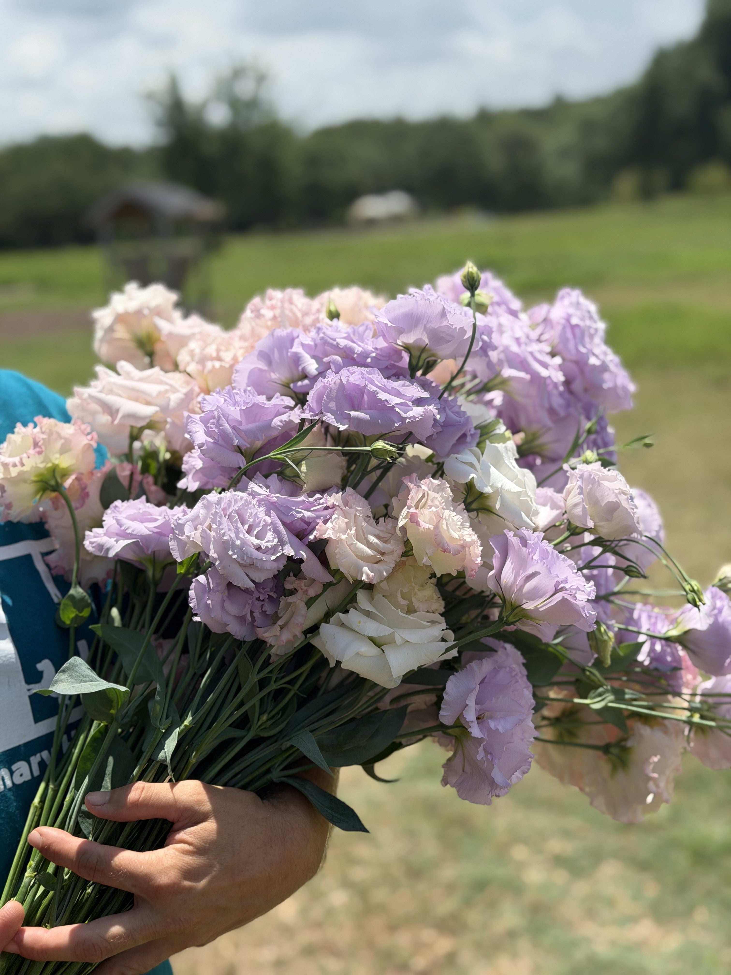 Farm-grown flowers with natural movement and seasonal texture from Bella Vista Farm featuring Lisianthus