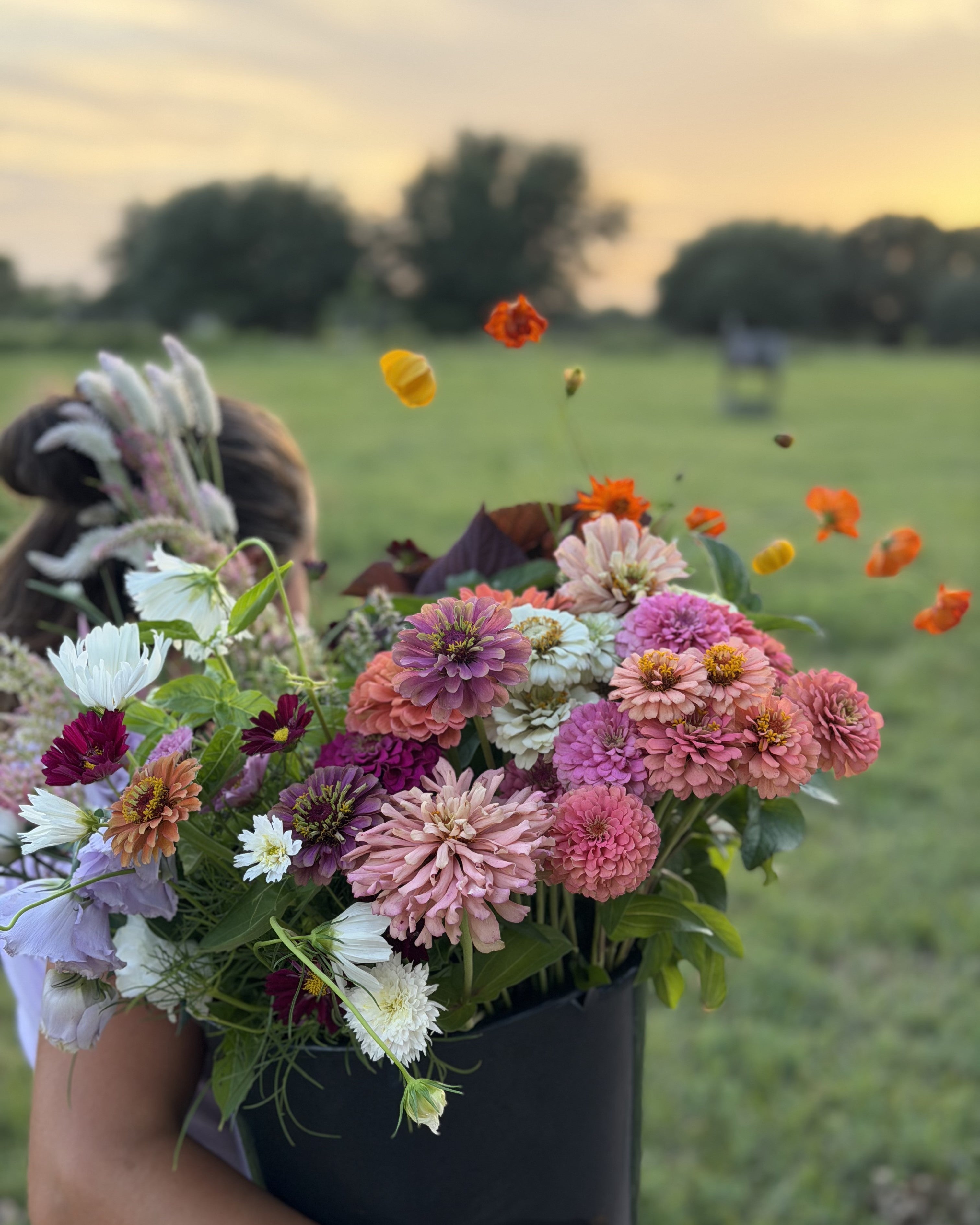 Freshly harvested flower bucket with seasonal garden flowers for entertaining and special gatherings.