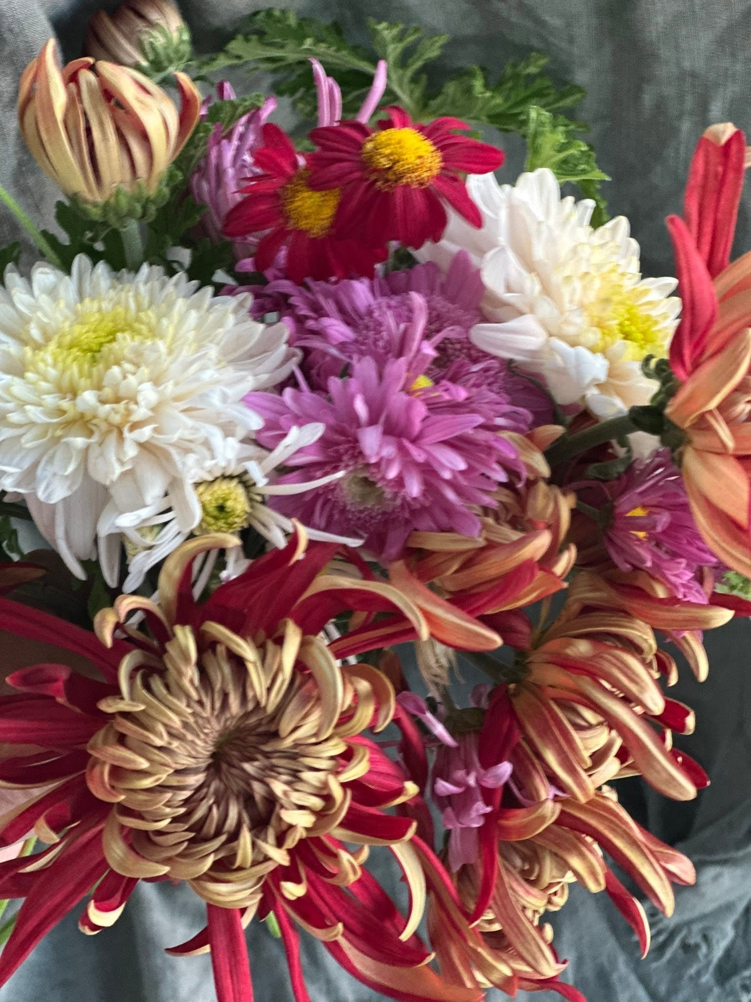 Bella Vista Flower Club | Monthly Seasonal Flower Subscription