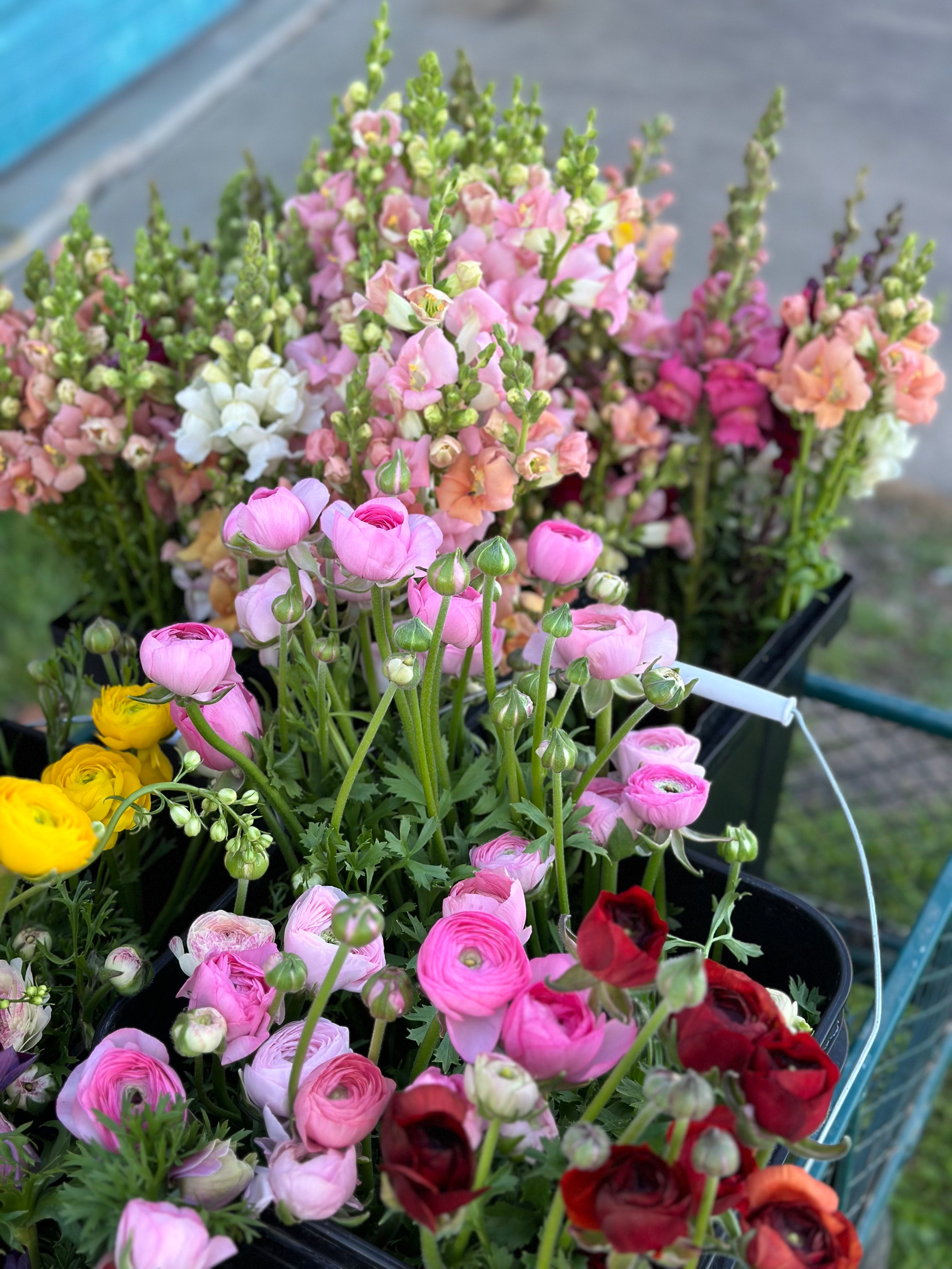 Seasonal flower bucket filled with mixed farm-grown blooms