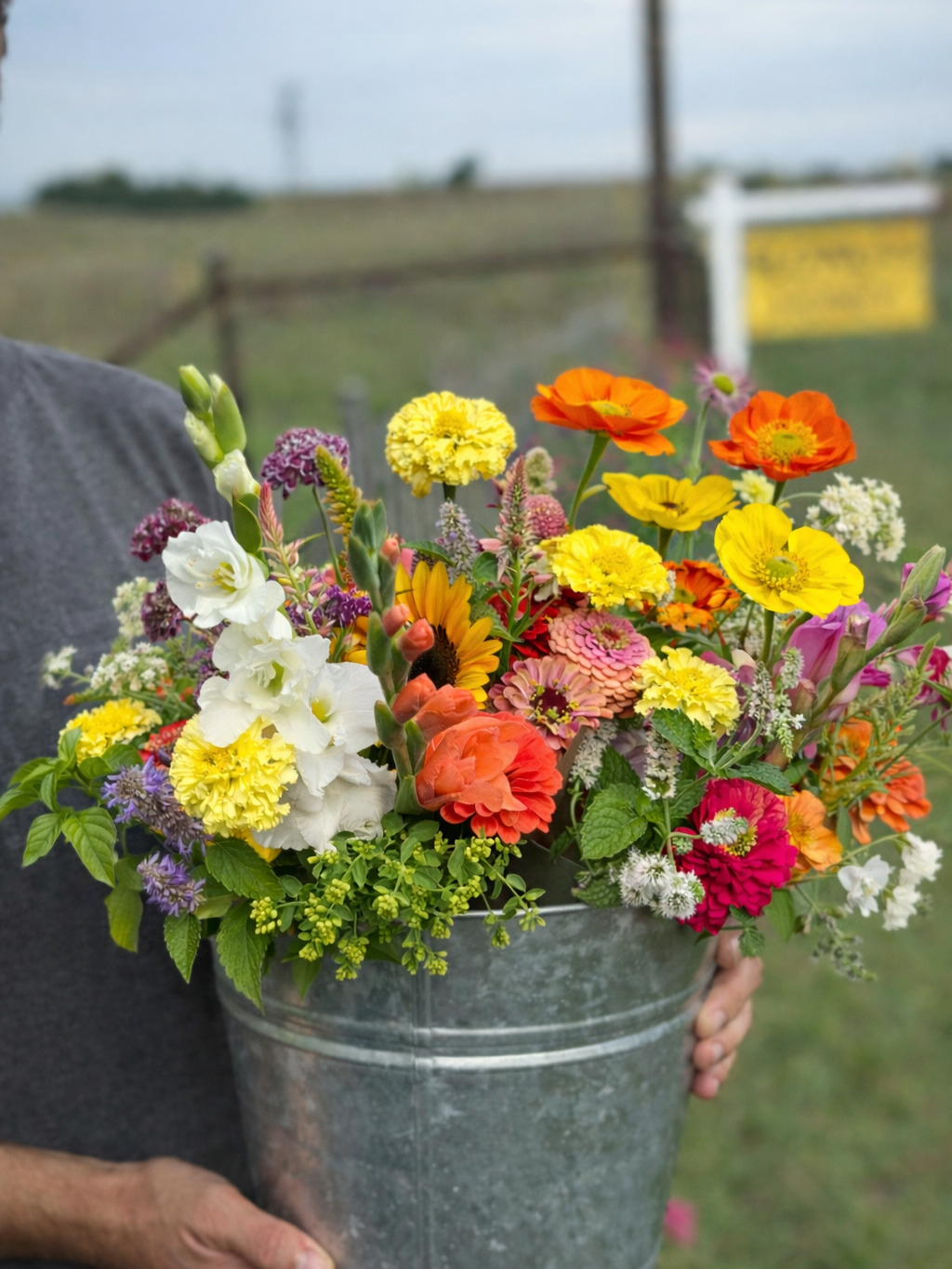 Farm-grown flower bucket with Icelandic poppies and seasonal blooms from Bella Vista Flower Farm, Texas – available for events and gatherings in Houston, The Woodlands, and College Station.