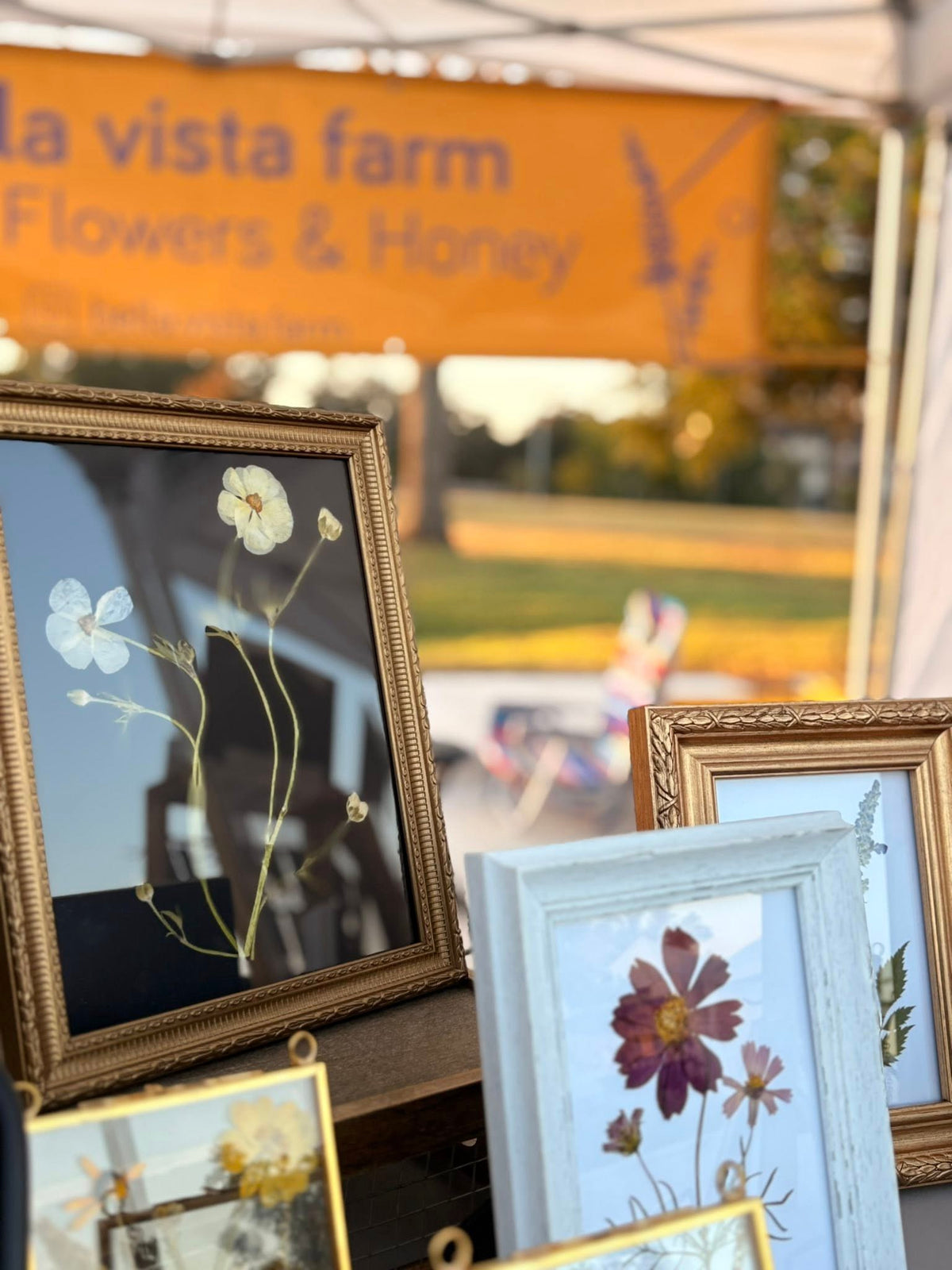 Framed pressed flower art pieces