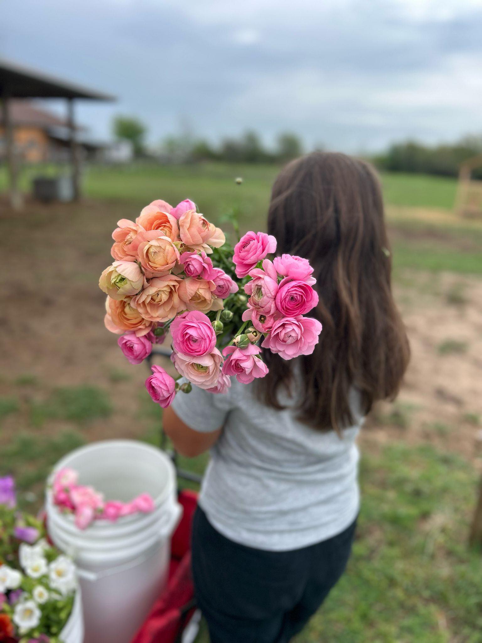 Farm-fresh flower bucket with long-stemmed spring flowers, perfect for events or gifting