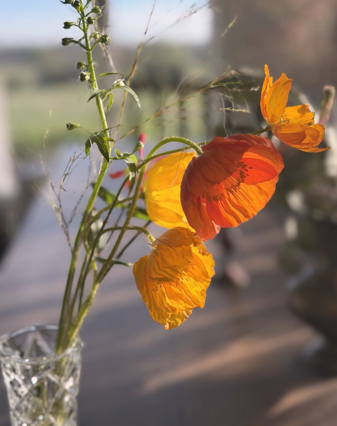 Close-up of seasonal farm grown flowers with soft natural textures and garden style movement