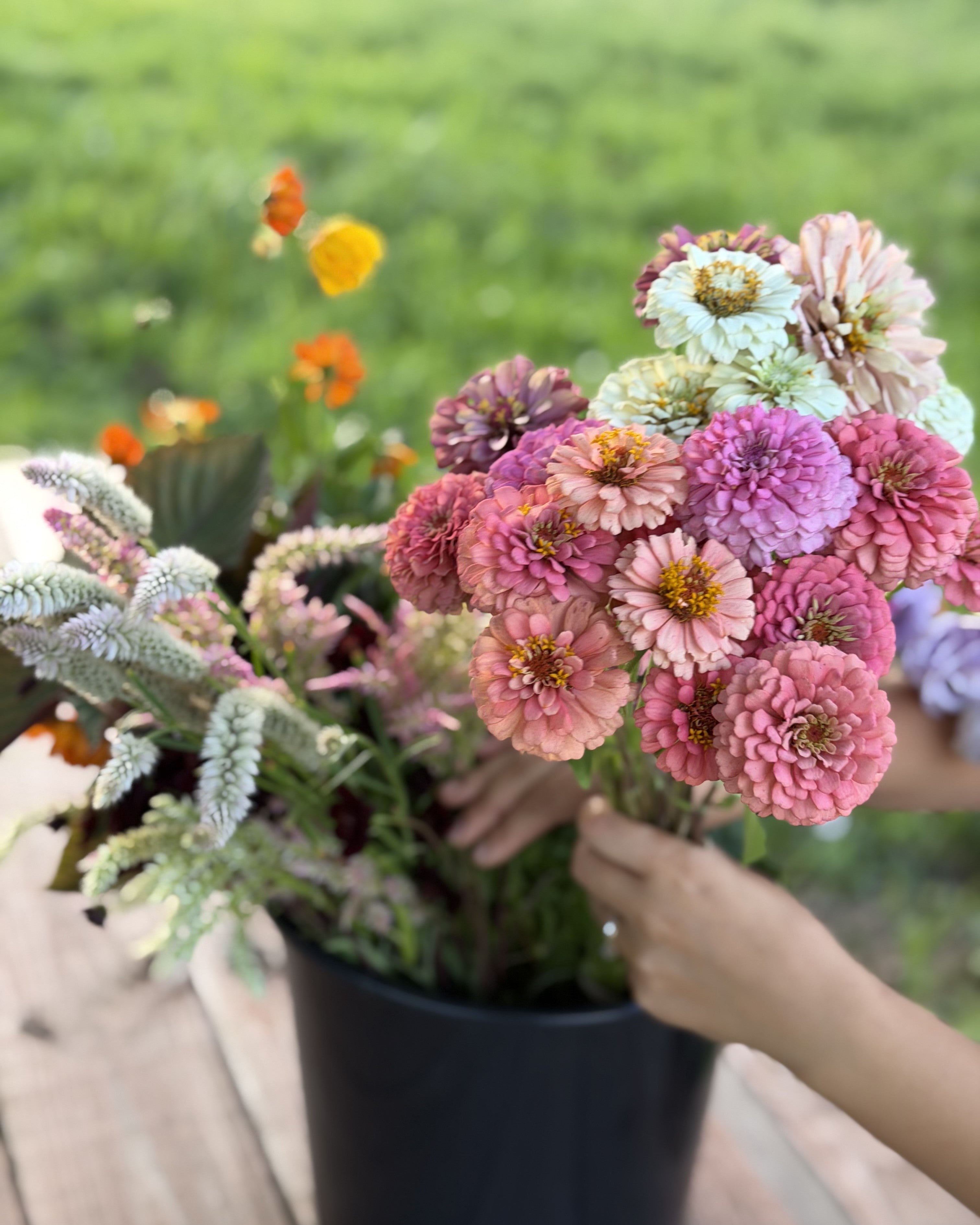Farm-grown flowers conditioning in buckets of water after harvest for maximum freshness.