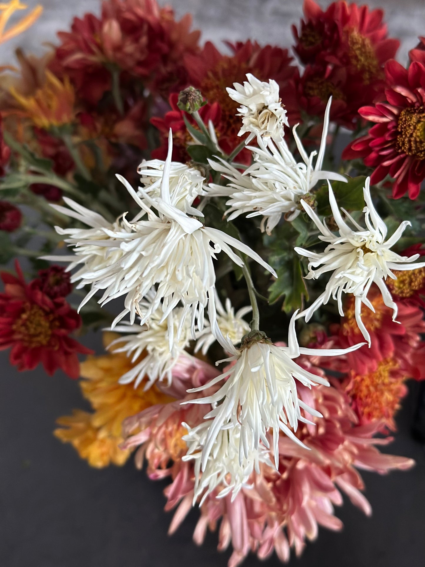 Autumn Blooms: Thanksgiving Arrangement Experience