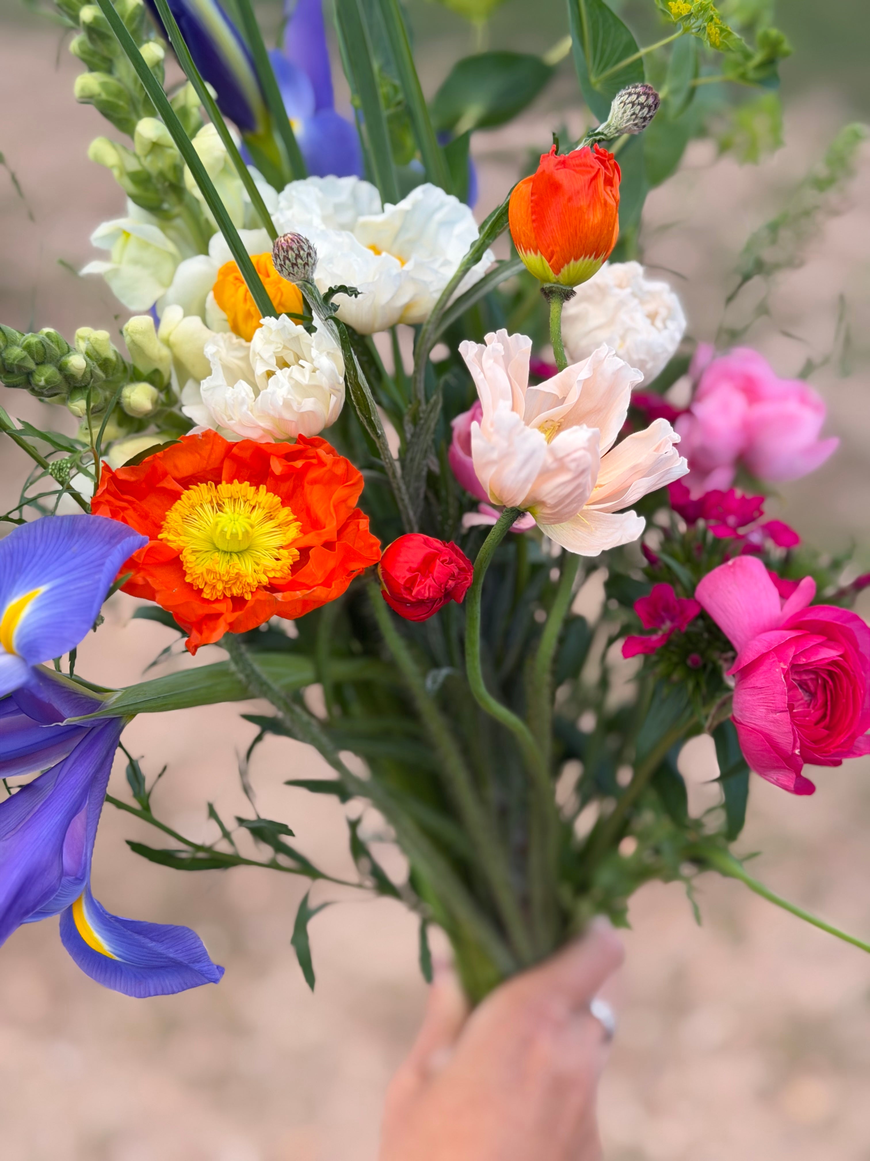 Weekly farm-grown flower bouquet subscription serving Houston, The Woodlands, and College Station