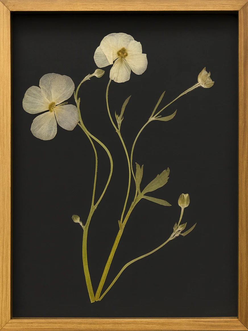 Pressed flower art with real botanical details displayed in a wood frame