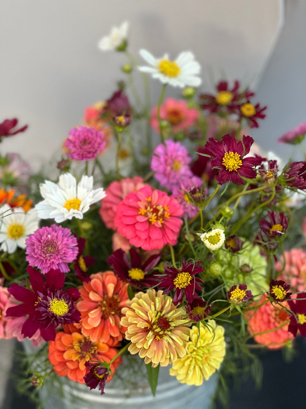Bucket of fresh farm-grown seasonal flowers ready for arranging