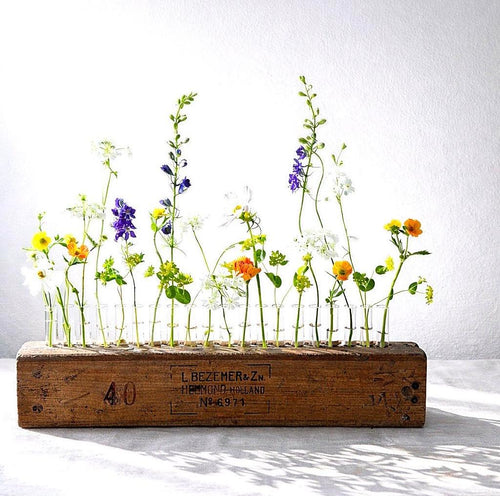 Antique cigar press vase filled with fresh spring flowers in glass test tubes, Bella Vista Farm, Texas