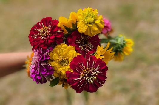 Farmer's choice: Flower Bucket