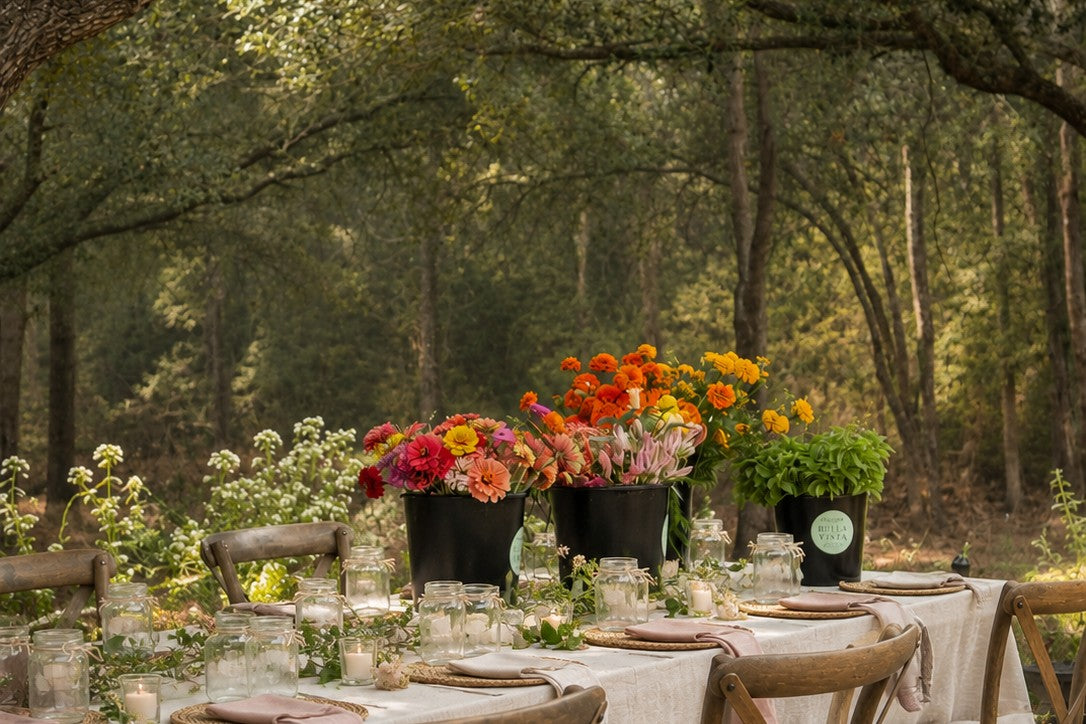 Locally grown seasonal flowers harvested at Bella Vista Flower Farm near Brenham, Texas.
