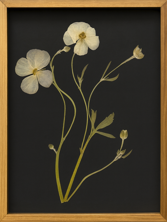 Signature Pressed Flower Frames