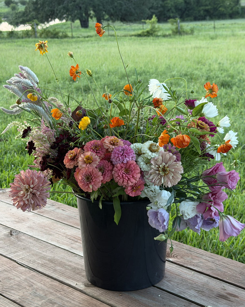 multicolumns-item-image-1