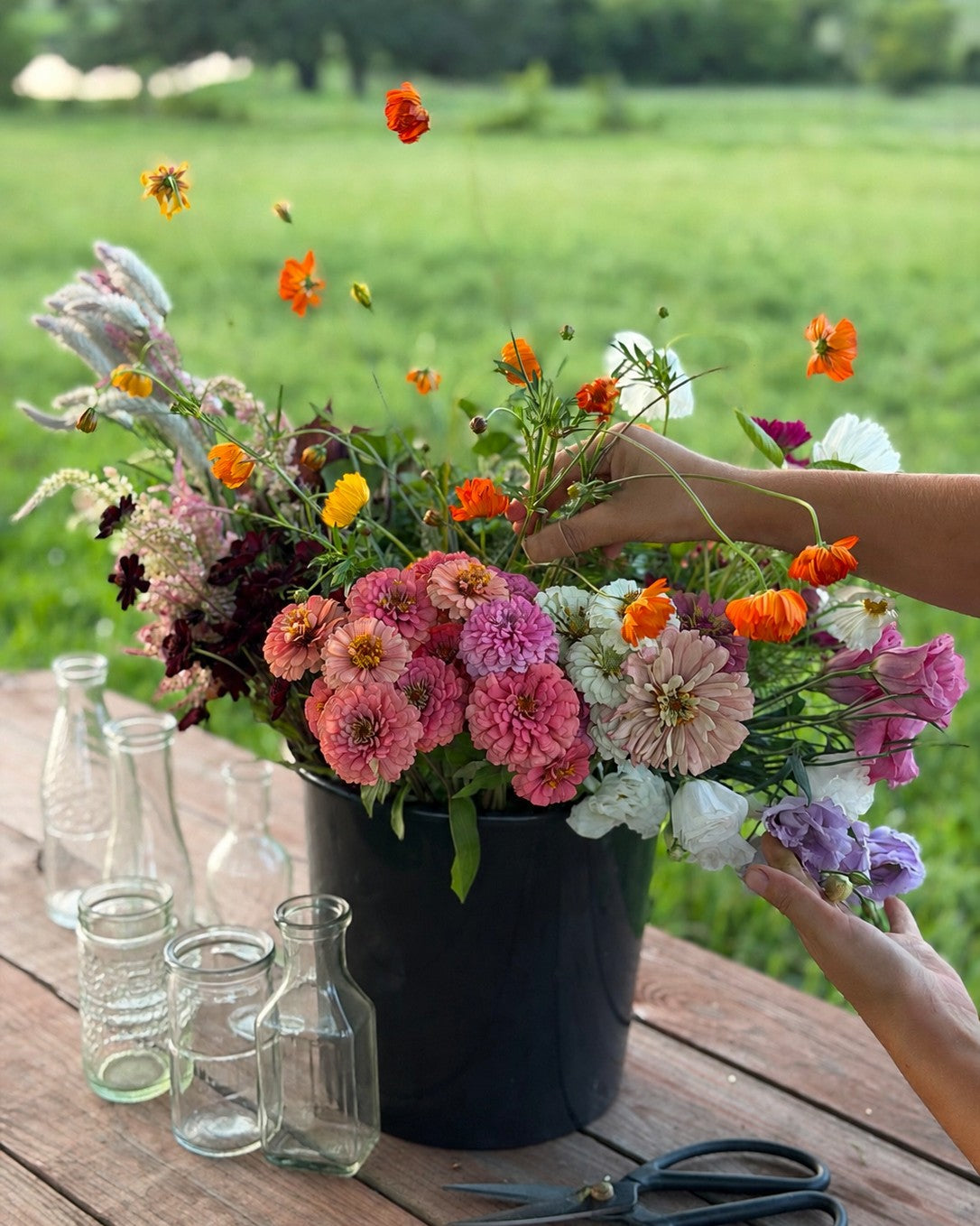 Seasonal farm-grown Hosting Flowers for creating garden-style table arrangements in your own vases