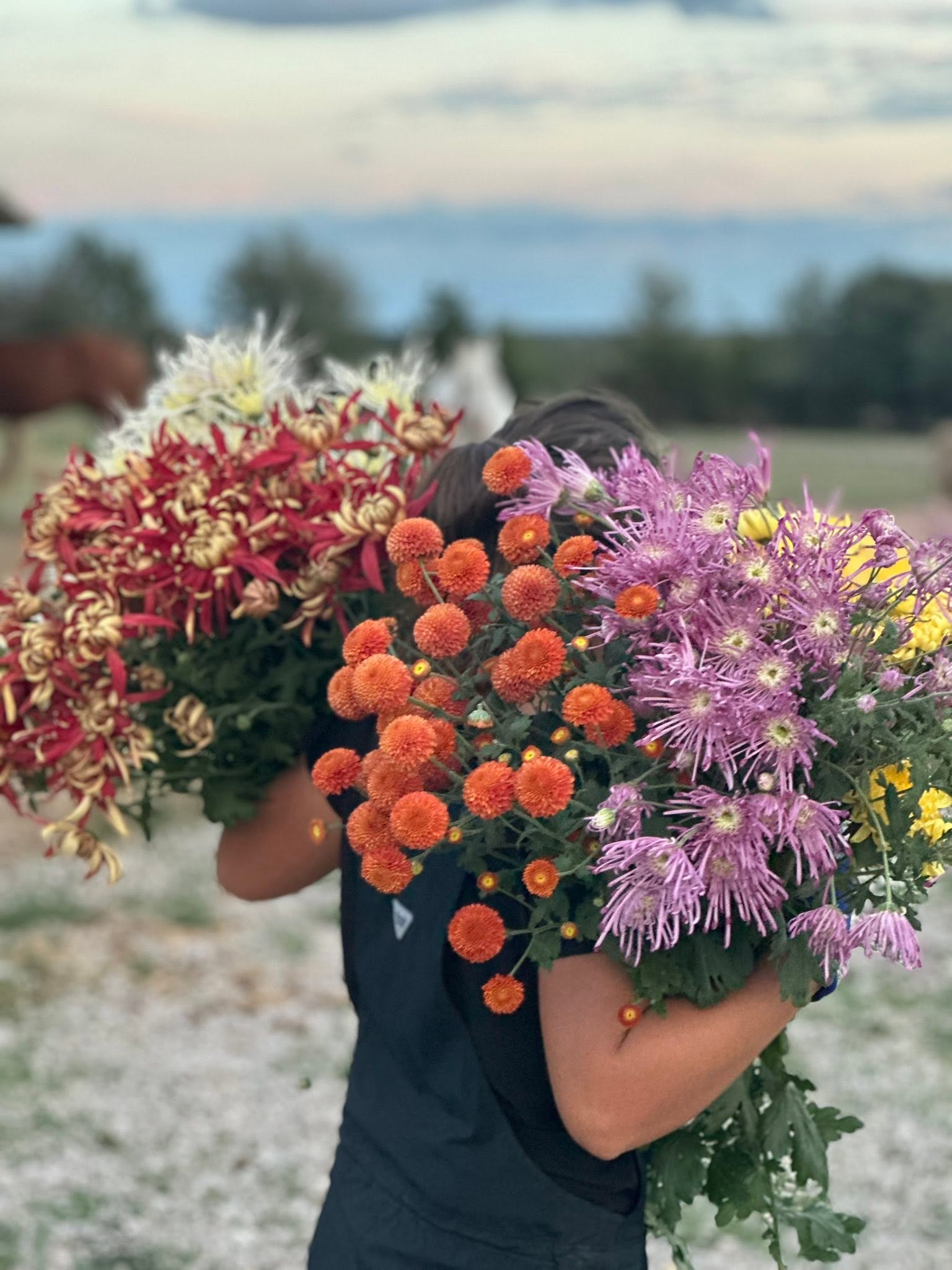 Freshly harvested seasonal flowers from Bella Vista Flower Farm ready for a weekend gathering