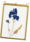Pressed flower art displayed between glass panels with botanical details