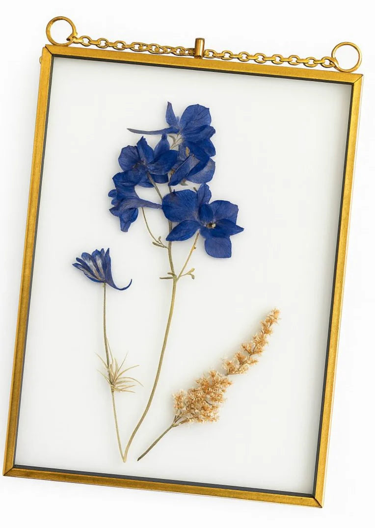 Pressed flower art displayed between glass panels with botanical details