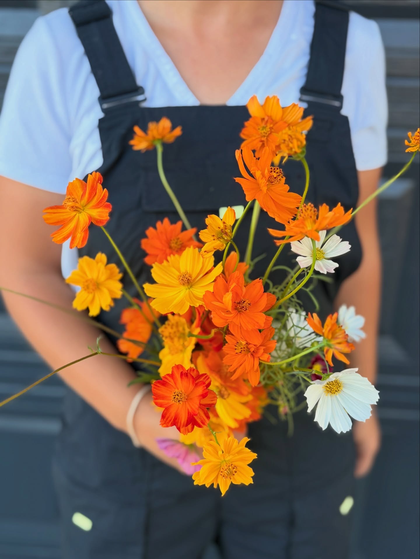 Seasonal bouquet of farm-grown flowers from Bella Vista Flower Farm near Brenham, Texas
