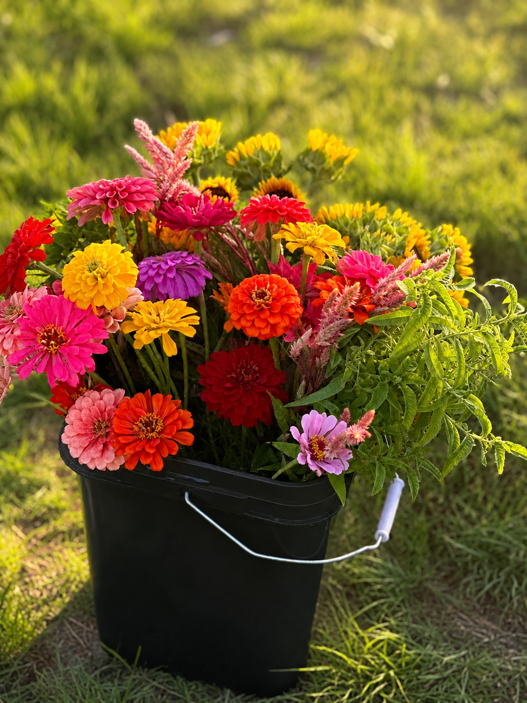 Seasonal flower bucket harvested at Bella Vista Flower Farm near Brenham, Texas, ready for a baby shower gathering.