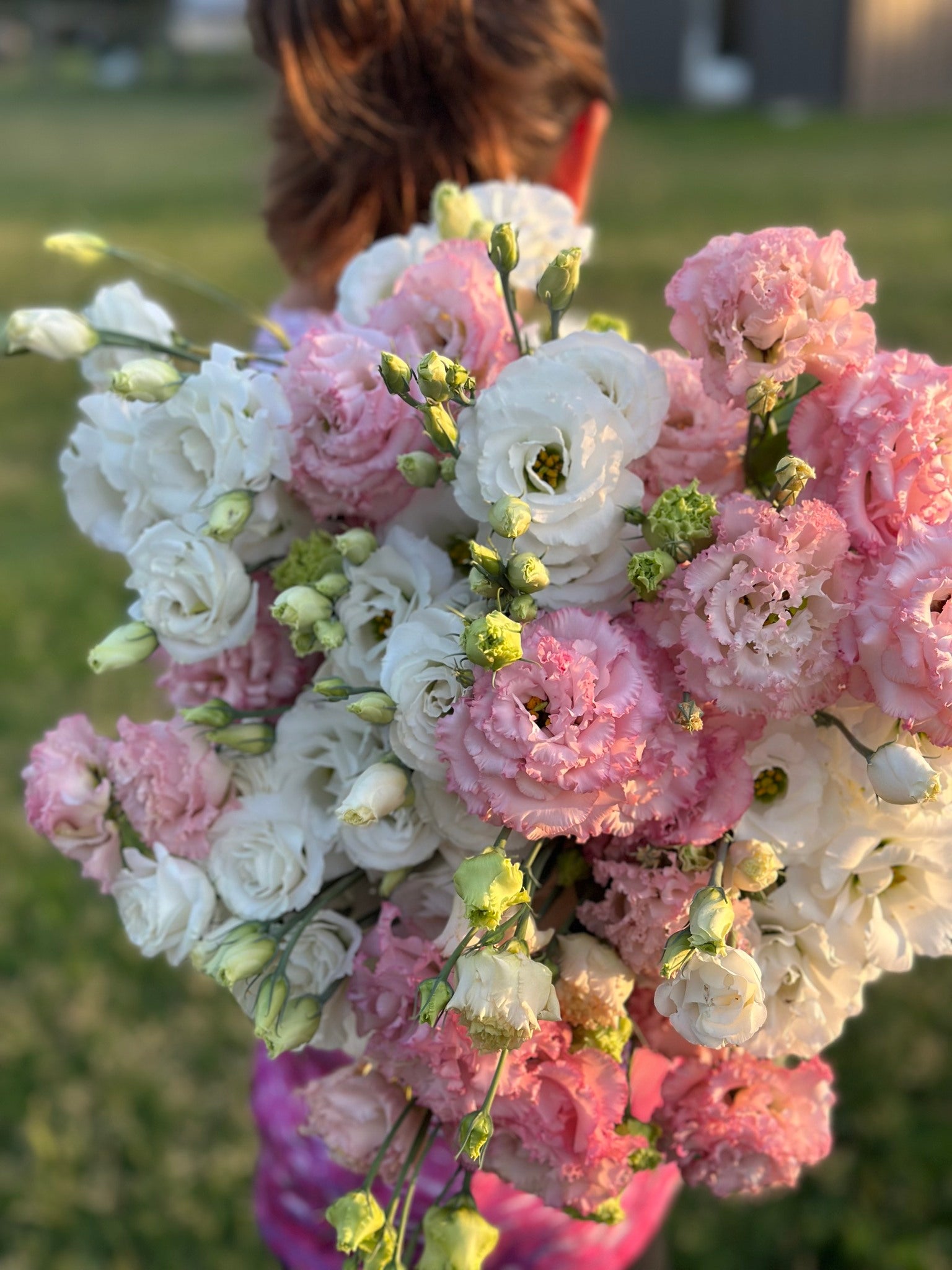 Late-summer cosmos grown at Bella Vista Flower Farm near Brenham, Texas